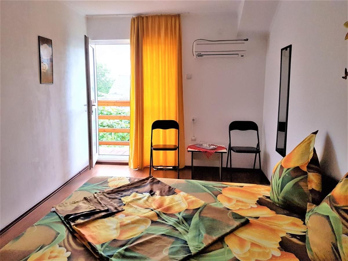 Проживание в семье Casa Gabriela Эфорие-Норд-9