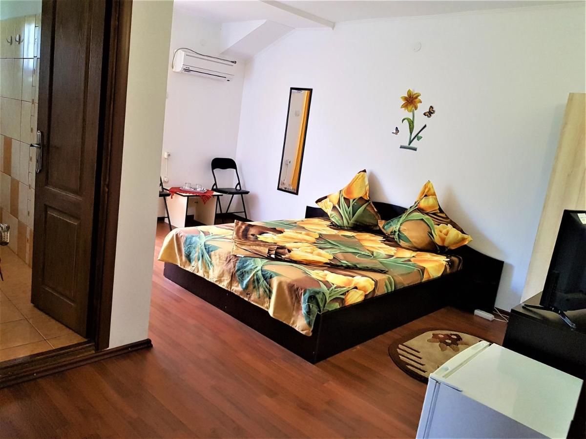 Проживание в семье Casa Gabriela Эфорие-Норд-11