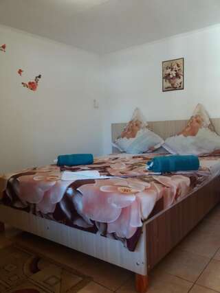 Проживание в семье Casa Gabriela Эфорие-Норд-1