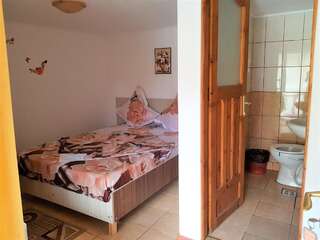 Проживание в семье Casa Gabriela Эфорие-Норд-2