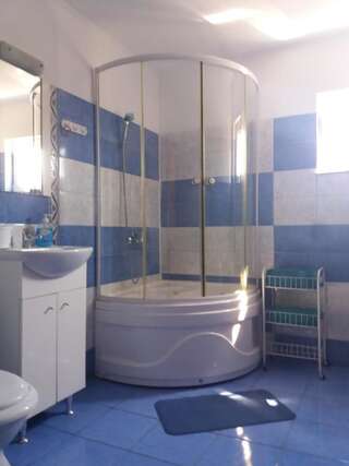 Проживание в семье Casa Gabriela Эфорие-Норд-4