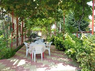 Проживание в семье Casa Gabriela Эфорие-Норд-6
